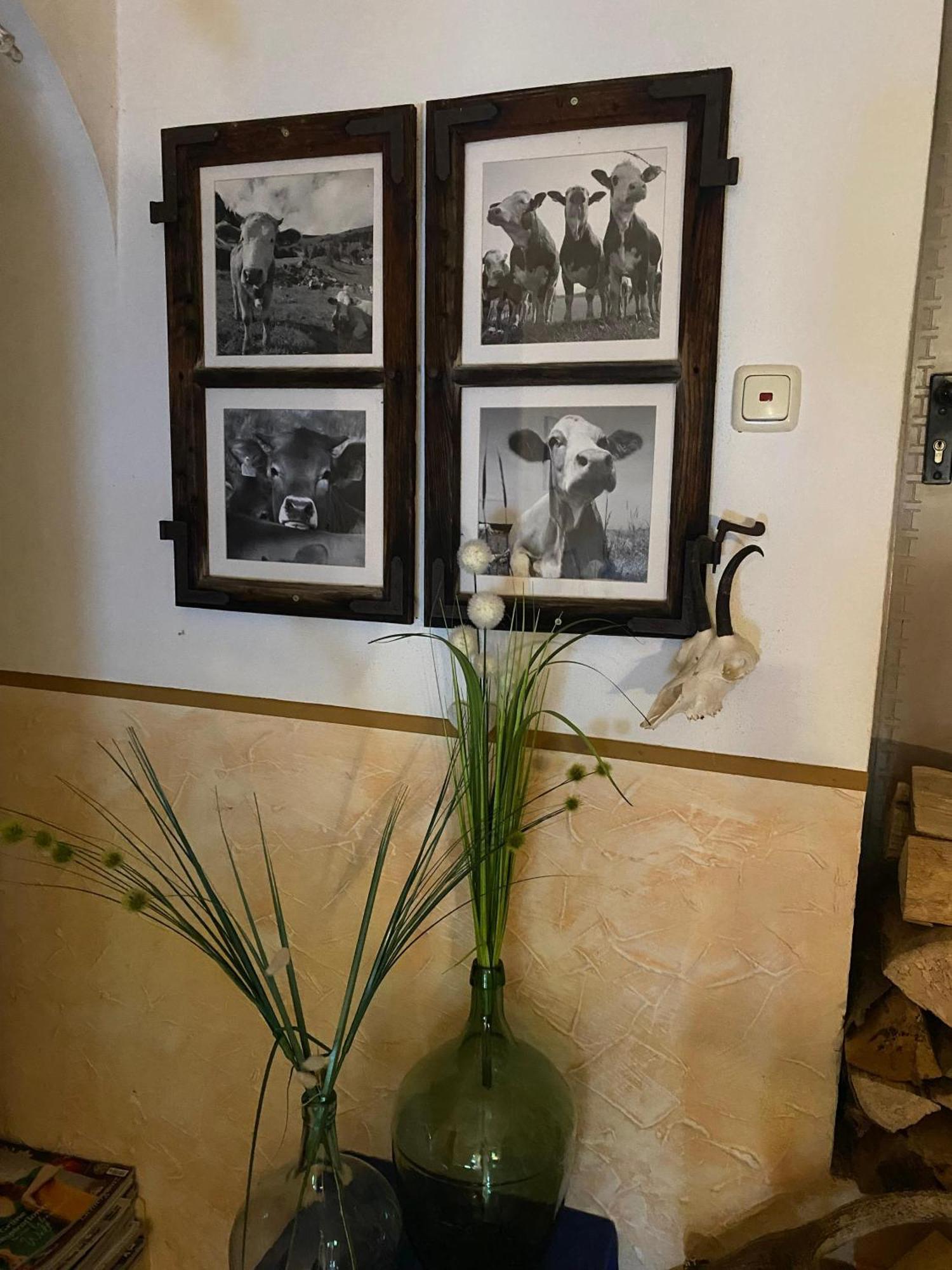 Hansenbauernhof Inkl. Chiemgaukarte 루폴딩 외부 사진